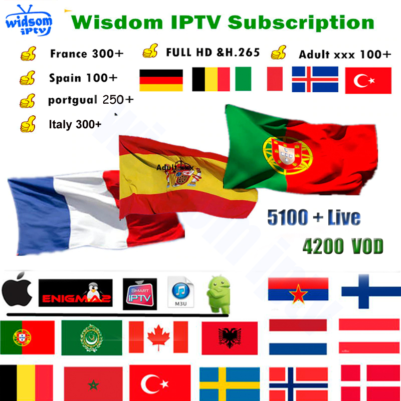 6 Months Wisdom IPTV France Europe Support for Android APK Smart tv iptv m3u